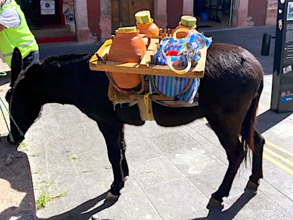 burrow-loaded-960x720-1.jpg